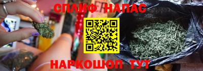 бошки Кимры