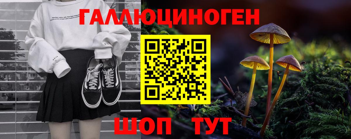 Кулебаки  Псилоцибиновые грибы ЛСД  Вход с VPN 