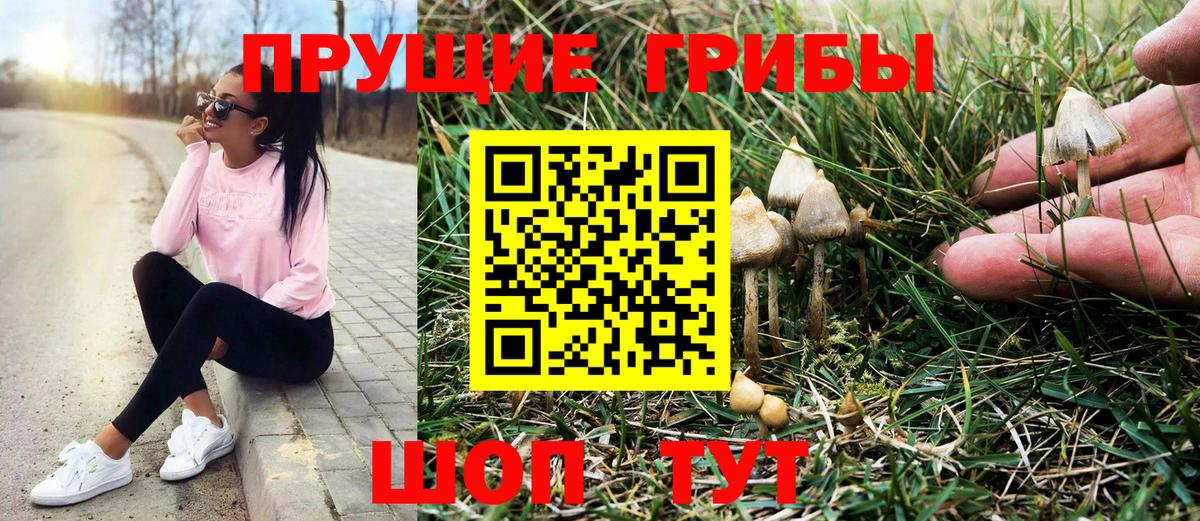 Псилоцибиновые грибы мицелий Кулебаки